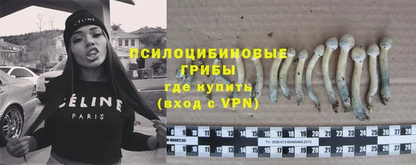 бошки Новодвинск