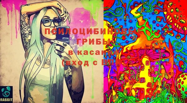 каннабис Ахтубинск