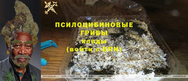 СК Алексин