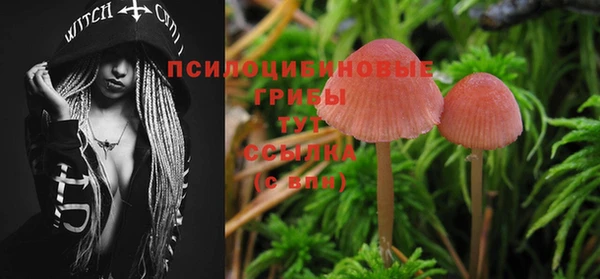 MESCALINE Новозыбков